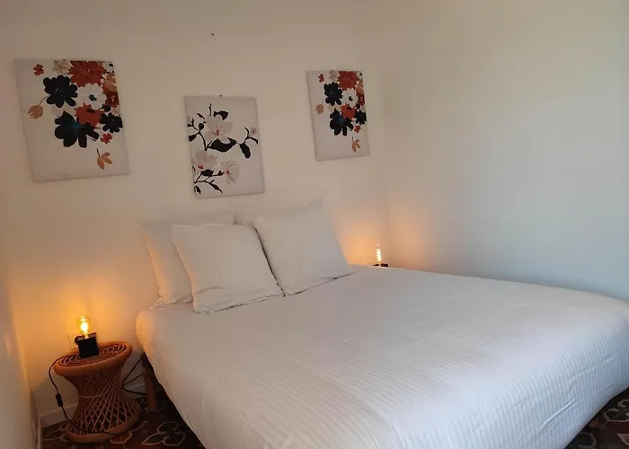 Du Charme Médiéval Conciergeriedamecarcas Appartamento Carcassonne